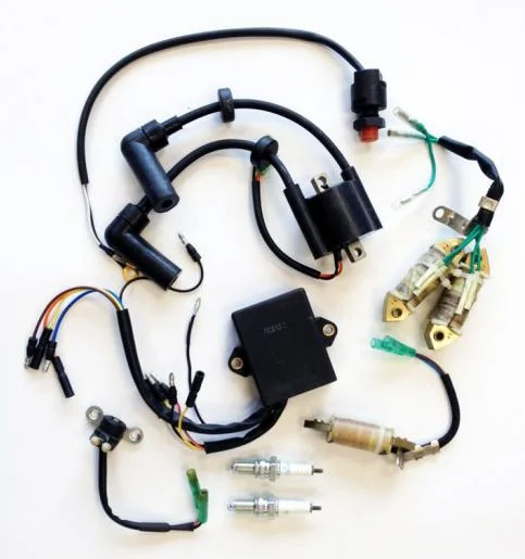 Zündungssatz für Parsun F2.6-Motor Markenware