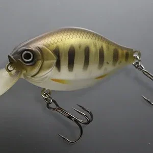 Heißes Angebot Issei G.C. Shallow Crank 52SR